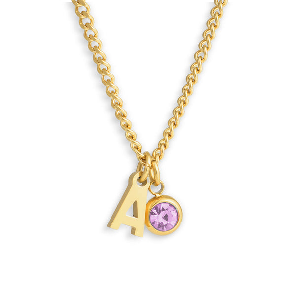 Custom/Personalized Initial Pendant Necklace w/ Birthstone - EVRYJEWELS