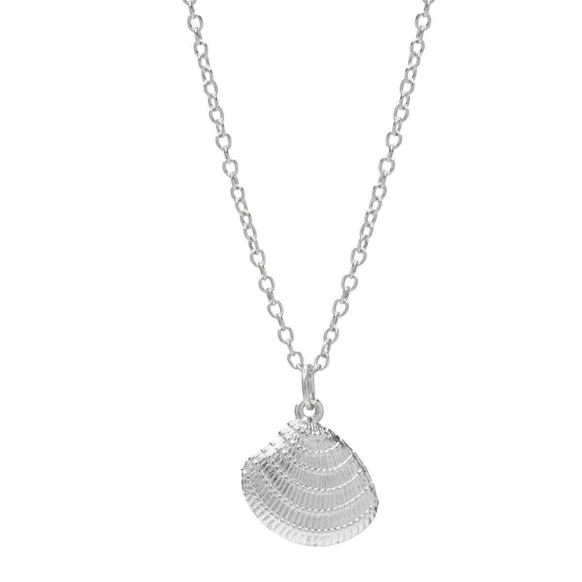 Dream Shell Necklace - EVRYJEWELS