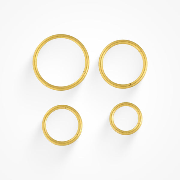 Evryday Nose Ring - EVRYJEWELS