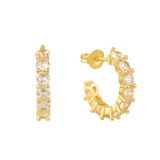 Icy Earrings - EVRYJEWELS