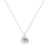 Seashell Necklace - EVRYJEWELS