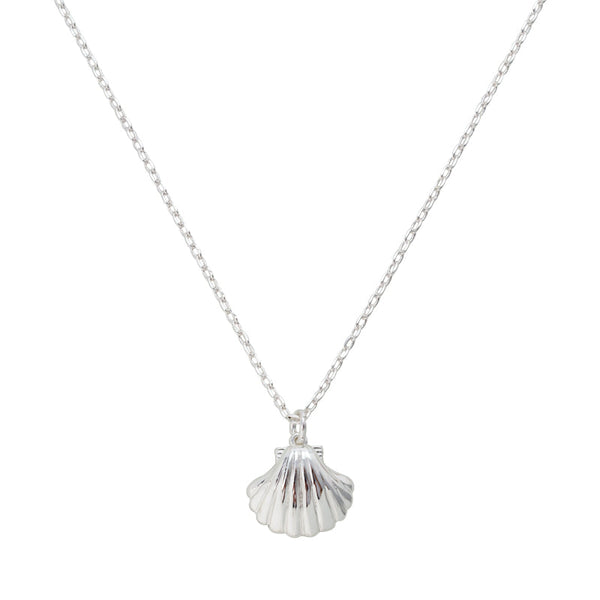 Seashell Necklace - EVRYJEWELS