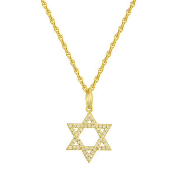 Star of David Necklace - EVRYJEWELS
