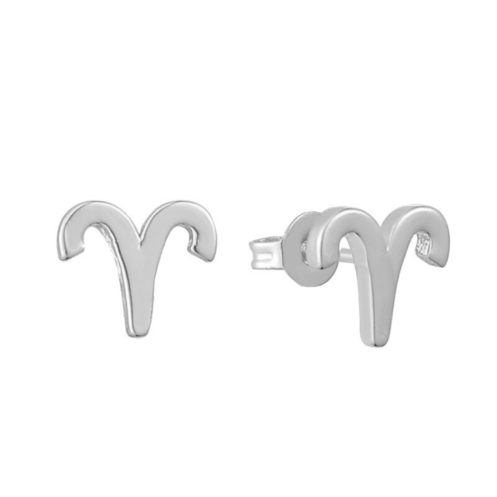 Stargazing Earrings - EVRYJEWELS