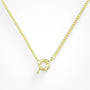 Locked In The Loop Necklace - EVRYJEWELS